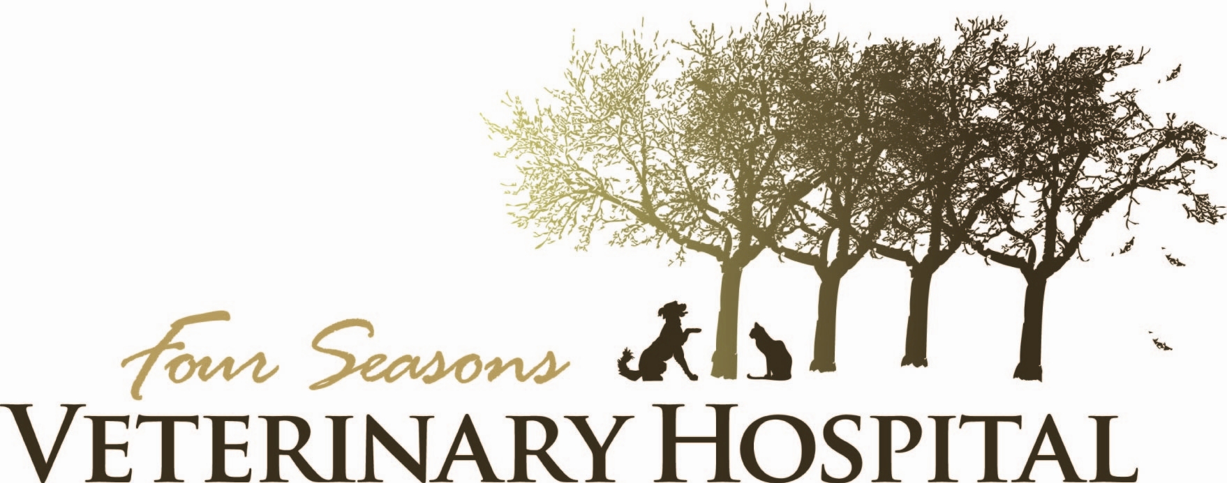 Four_Seasons_Vet_Logo_by_Ed